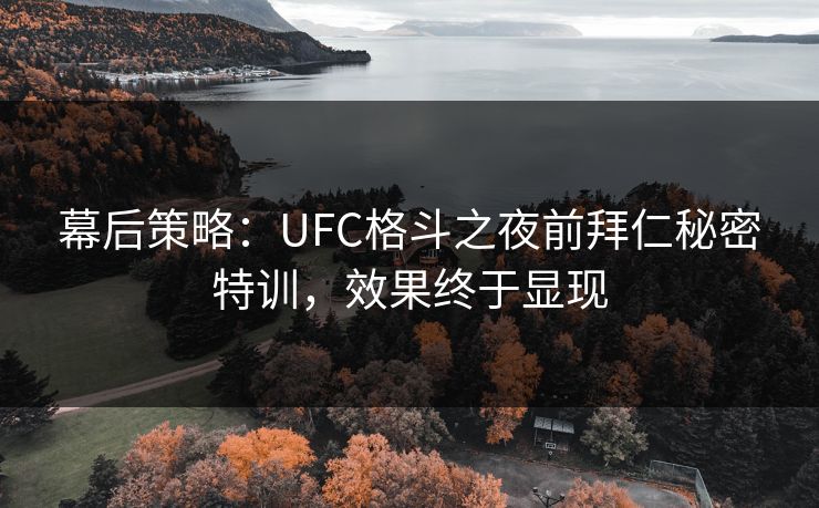 幕后策略：UFC格斗之夜前拜仁秘密特训，效果终于显现
