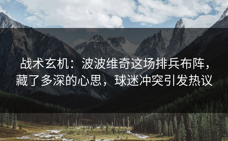 战术玄机:波波维奇这场排兵布阵,藏了多深的心思,球迷冲突引发热议